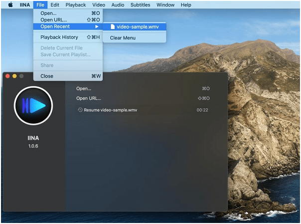 how to read wmv files on mac