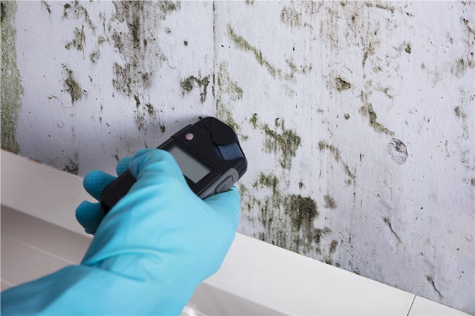 Mold Testing & Inspection Made Easy With Cutting-Edge Technology